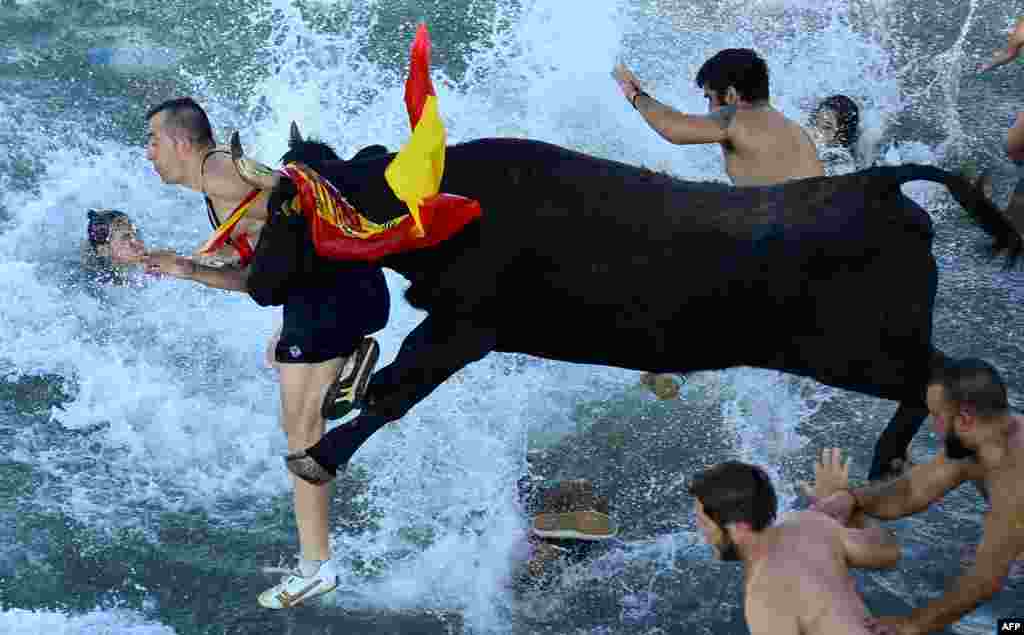 Para penonton melompat ke laut dalam festival tradisional 'lari dikejar banteng' di pelabuhan Denia dekat kota Alicante, Spanyol.