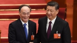 中共二十大報導：習近平十年反腐“打虎拍蠅”背後的政治玄機