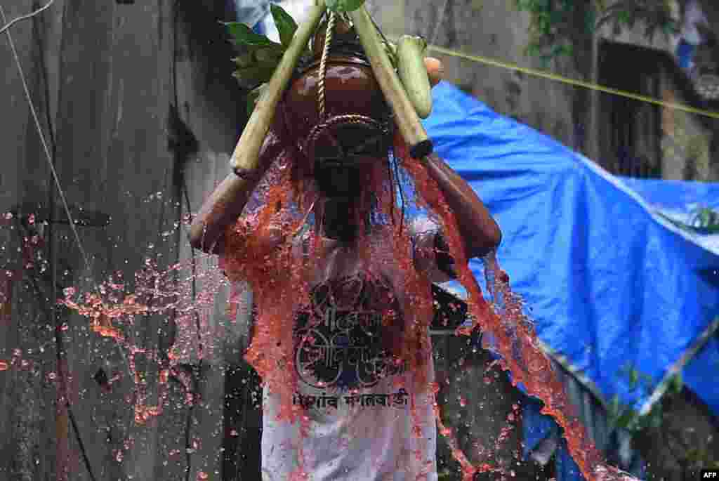 Hindu devotee breaks a dahi-handi (curd-pot) suspended in the air from atop a ladder during 'Janmashtami' festival celebrations marking the birth of Hindu God Lord Krishna, in Mumbai, India.