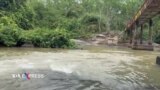 Suối Rạt ở Bình Dương