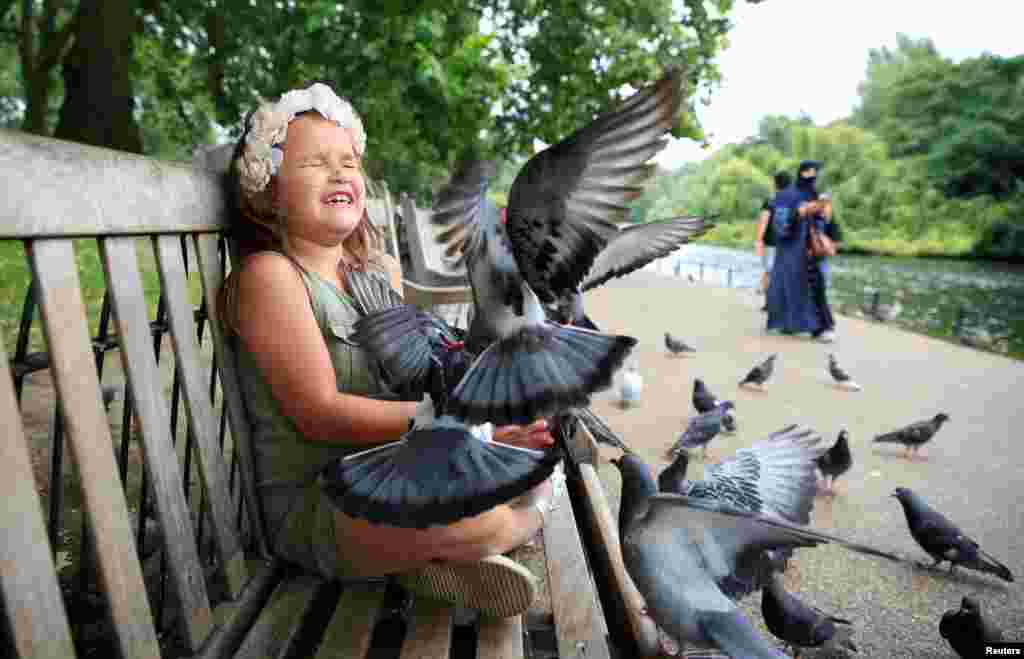 Olivia Coyte memberi makan burung-burung merpati di Taman St James di London.