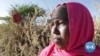 Climate Change Drives Gender-Based Violence in Somaliland-Oxfam 