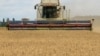 Rusia anuncia que suspenderá acuerdo de la ONU para cereales ucranianos